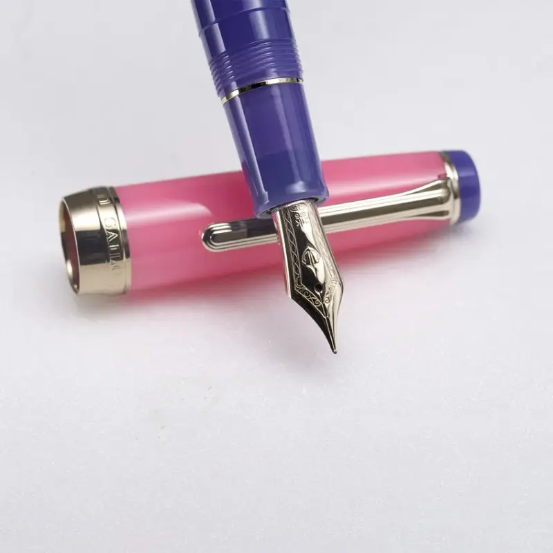 Sailor Professional Gear 'The Pillow Book' Fountain Pen (21K Medium) - Spring Sky With Rodhium Trims