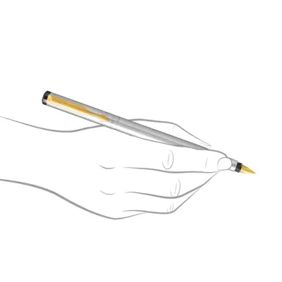 Parker Vector Stainless Steel Fountain Pen With Gold Trim-Fine