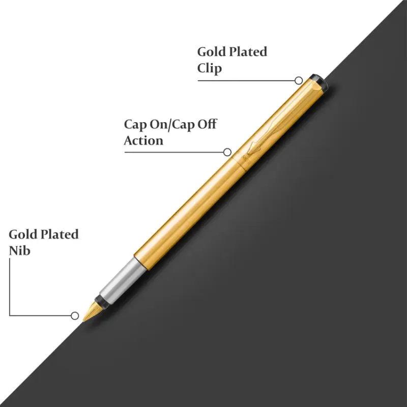 Parker Vector Gold Fountain Pen-Fine